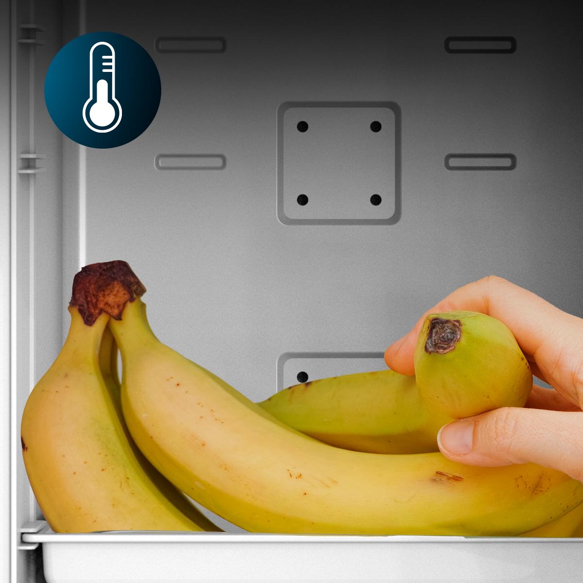 Interior del frigorífico CECOTEC Bolero MiniCooling 25L Bahamas Mint conservando fruta y alimentos pequeños