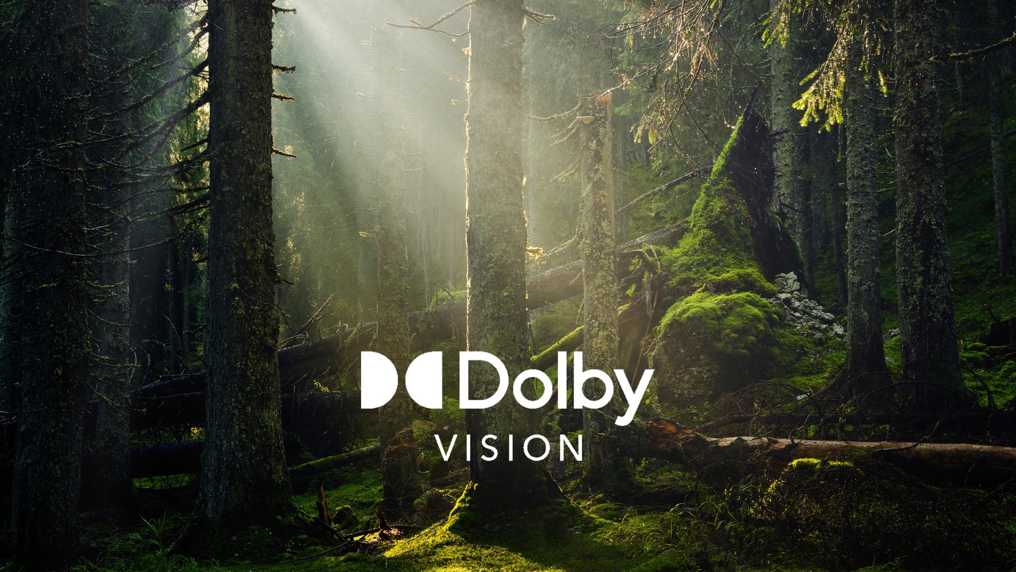 Dolby Vision: experiencia visual única
