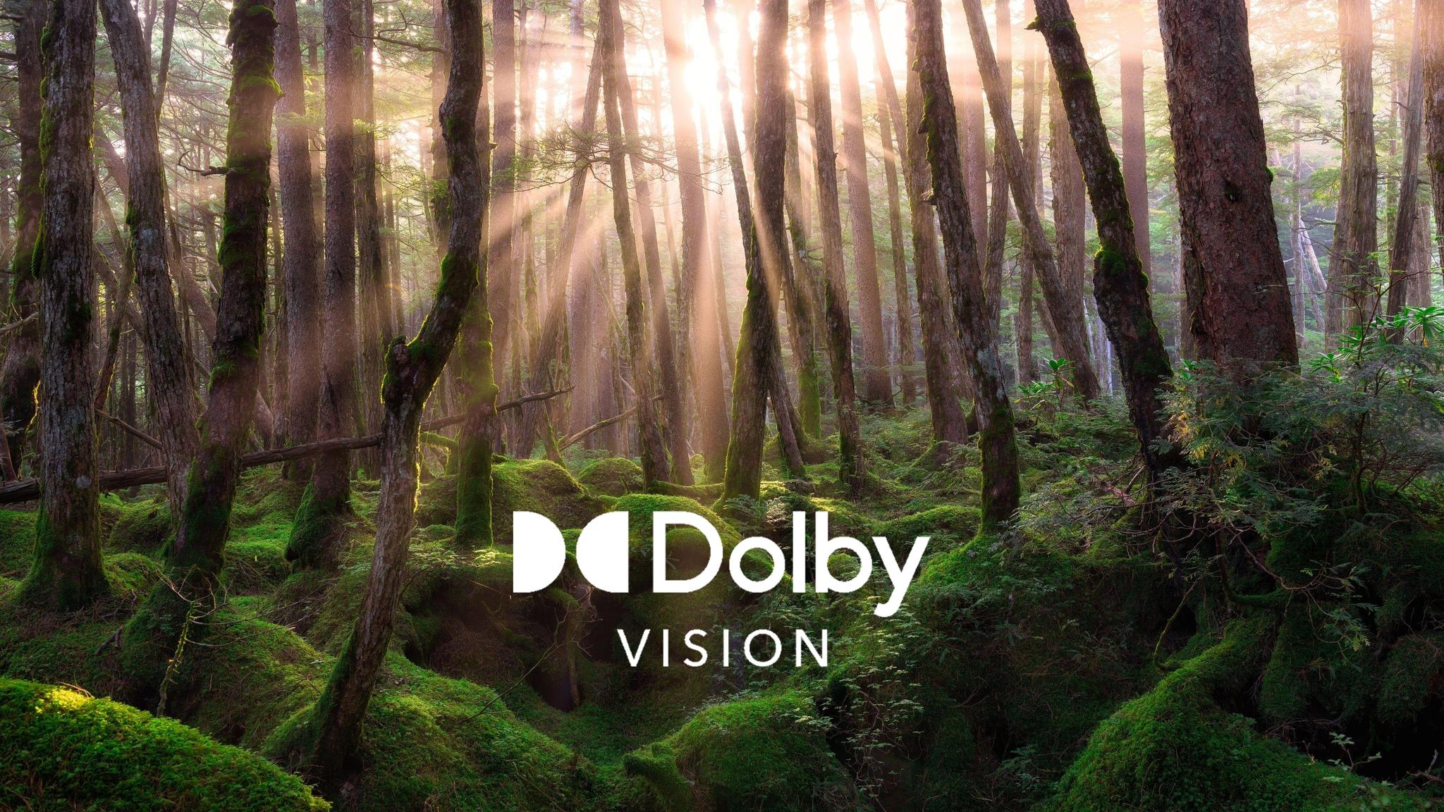 Dolby Vision: experiencia visual única