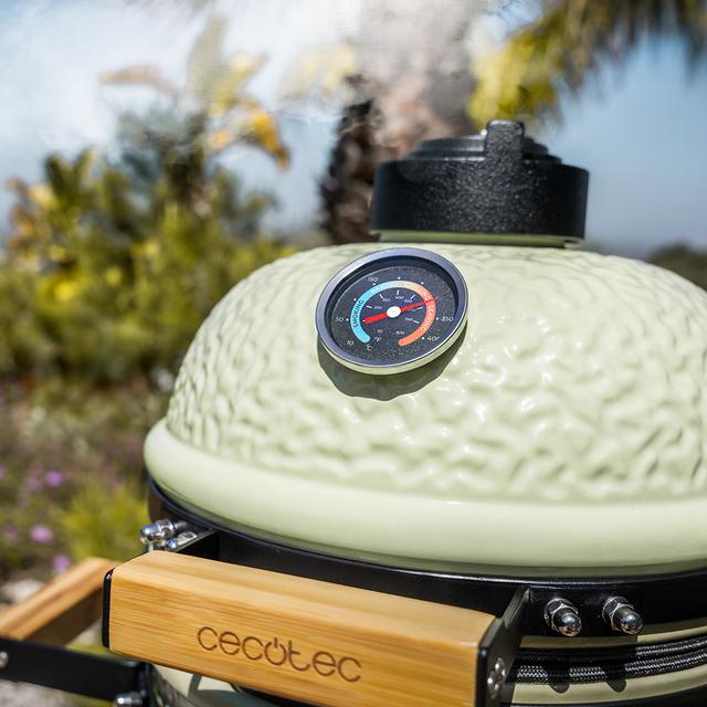 Dragonfire 3200 Kamado Barbacoa de carbón cerámica 32 cm diámetro con resistencia hasta 1000º, soporte de hierro fundido y control de flujo de aire.