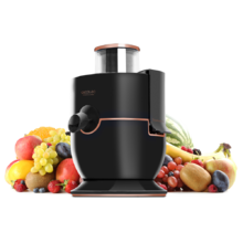 Acquista Estrattore per frutta e verdura a pressione morbida Kitchencook  con 3 setacci Ultimate Black