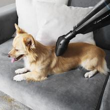 Conga Immortal ExtremeSuction 22,2 V Animal Hand Aspirador de mão de 22,2 V. Potente para sólidos e líquidos. Acessórios para animais, casa e carros Tecnologia ciclónica. Autonomia de 25 min.