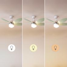 Ventilatore da soffitto EnergySilence Aero 4260 Mint con motore CC da 40 W e luce LED, telecomando, timer, 6 velocità e 5 pale reversibili.