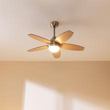 Ventilatore da soffitto EnergySilence Aero 495 55 W 42” con luce LED, telecomando, timer, 3 velocità e 5 pale reversibili.