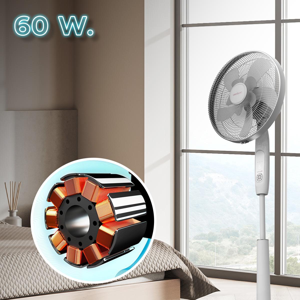 Cecotec