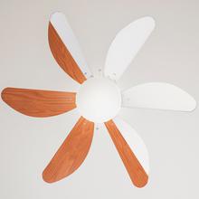 Ventilatore da soffitto EnergySilence Aero 360. 6 pale, 36”, 3 velocità, con lampada, pale reversibili, 50 W