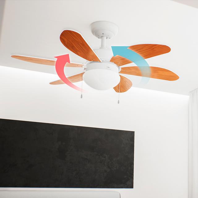 Ventilateur de plafond EnergySilence Aero 360. 6 pales, 36'', 3 vitesses, avec lampe, pales réversibles, 50 W