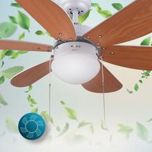 Ventilatore da soffitto EnergySilence Aero 360. 6 pale, 36”, 3 velocità, con lampada, pale reversibili, 50 W