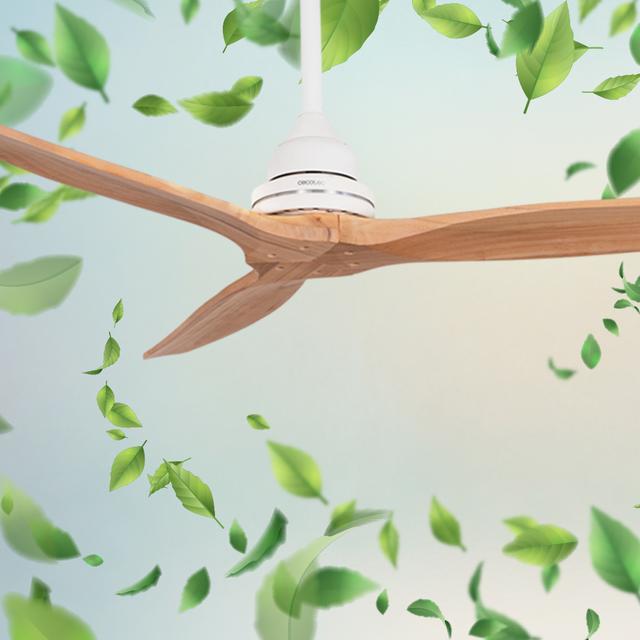 Ventilateur de plafond EnergySilence Aero 590