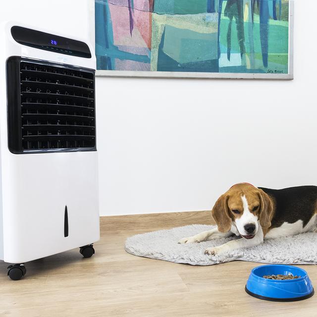 Climatizador Cecotec EnergySilence PureTech 6500 en salón con mascota