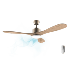Ventilatore da soffitto EnergySilence Aero 5290 Golden Pro