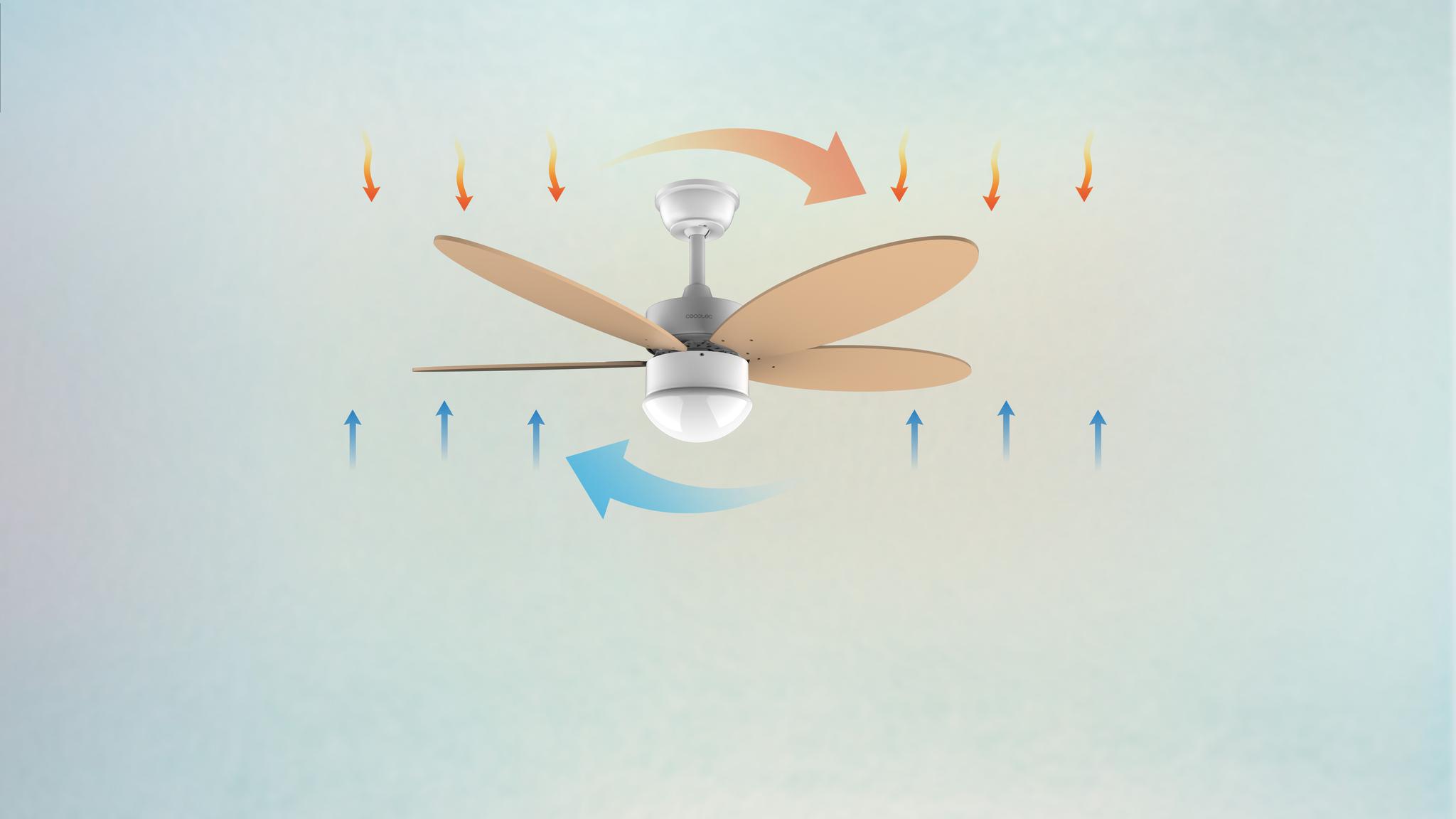 El ventilador será tu aliado los 365 días del año gracias a su sistema de inversión de giro que consigue una agradable brisa fresca en verano y aire cálido en invierno.