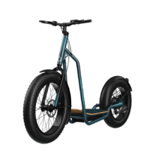 ‌Trotón Fat Footbike elétrica com motor de 1300 W (1000 W nominal) e com autonomia de 60 km. Roda Fat traseira de 20" e roda dianteira de 26". Cumpre todos os requisitos da nova regulamentação espanhola de trânsito rodoviário.