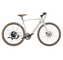 City Sprint Bici elettrica da città con 70 km di autonomia, cambio shimano a 8 velocità e doppio freno a disco idraulico.