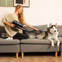 Conga Rockstar Deepclean Animal Aspirador escoba sin cables sin bolsa para mascotas 3 en 1 con potencia 215 W. 21 kPa. 40 minutos de autonomía. Cepillo Jalisco. Depósito de 500 ml. Con Accesorio especial para animales.