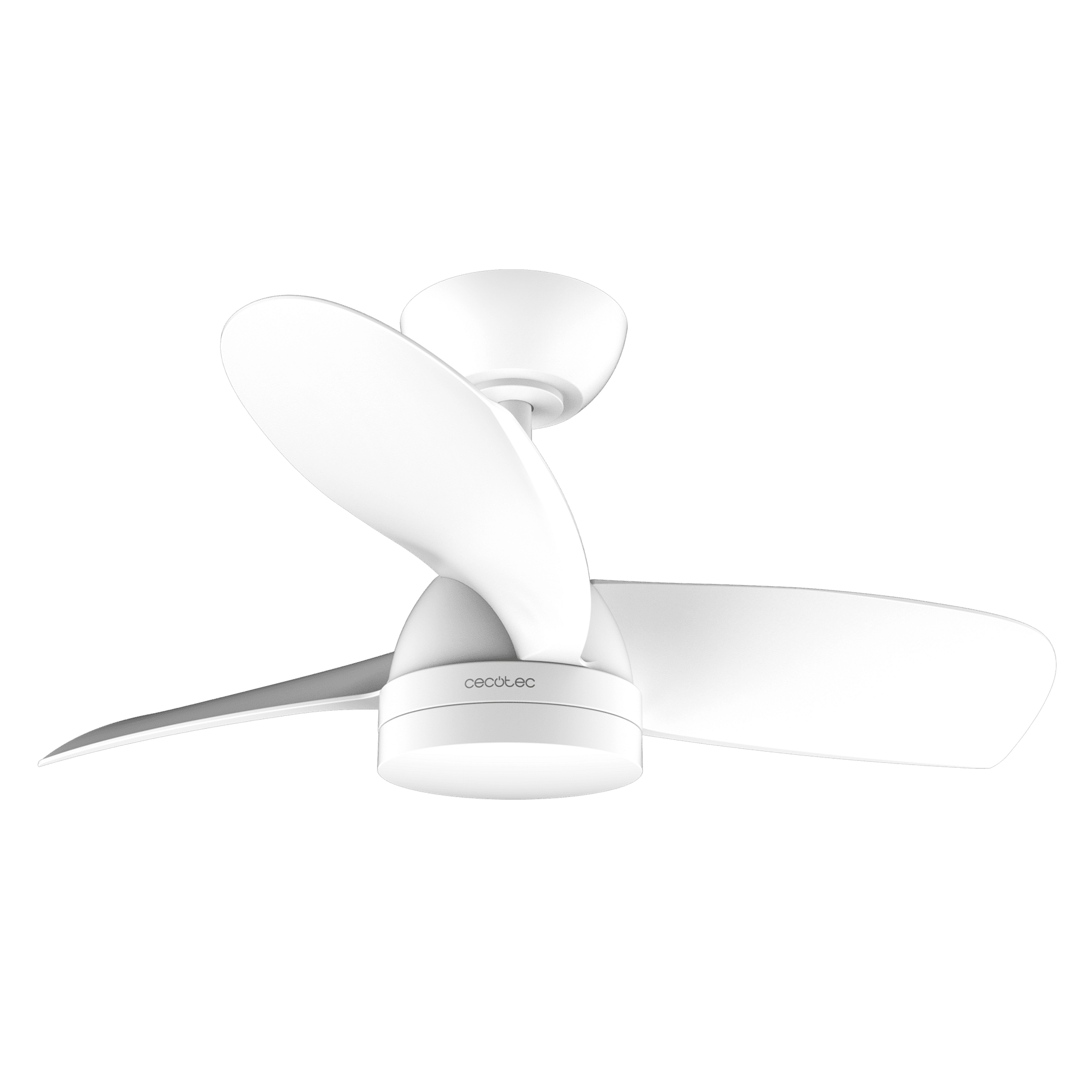Moule à Plombs Médaillon Carpe – 60-90 G – Pour Pêche Au Gros – économique Et Durable
