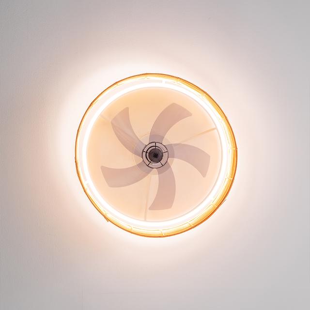 EnergySilence LampAero 600 Natur Design Ventilatore da soffitto di design con motore DC, con potenza di 20W e luce a LED da 40W, con 5 pale da 17 pollici, telecomando, 6 velocità, 3 tonalità di luce disponibili, timer e modalità inverno/estate.