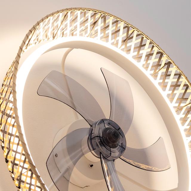 EnergySilence LampAero 610 Natur Design Ventilateur de plafond design de 20 W avec moteur DC, lampe LED de 45 W, 5 pales de 17 pouces, télécommande, 6 vitesses, 3 tonalités de lumière disponibles, minuterie et mode Hiver-Été.