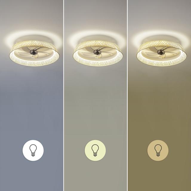 EnergySilence LampAero 620 Natur Design Ventilatore da soffitto di design con motore DC da 20W e luce LED da 40W, con 5 pale da 17 pollici, telecomando, 6 velocità, 3 tonalità di luce disponibili, timer e modalità inverno/estate.