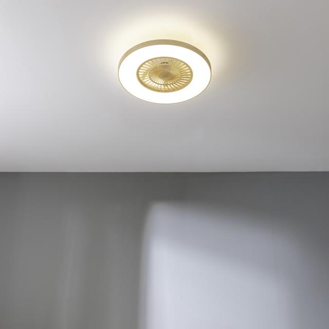 EnergySilence LampAero 600 InsideWood Ventilatore da soffitto di design con motore DC, con potenza di 20W e luce a LED da 45W, con 5 pale da 24 pollici, telecomando, 3 velocità, 3 tonalità di luce disponibili, timer e modalità inverno/estate.