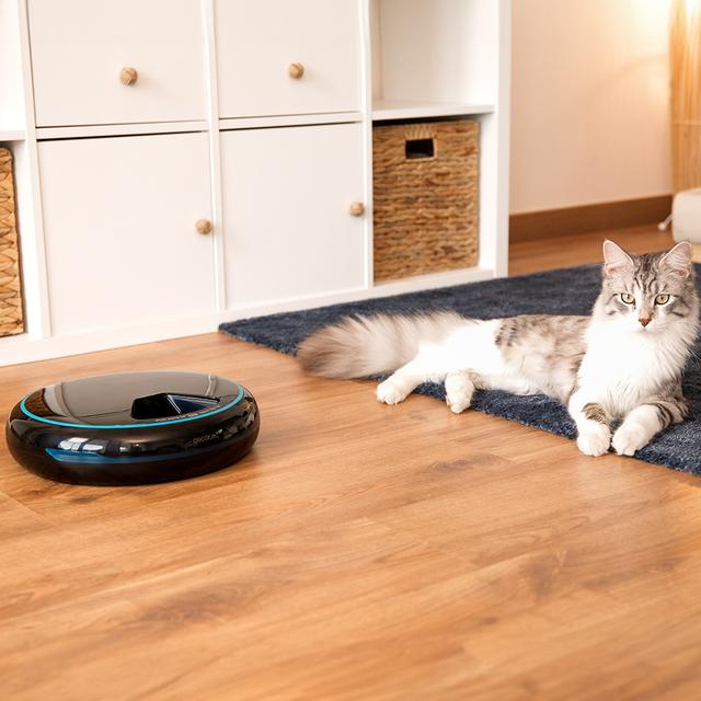 Cecotec Pumba 1600 Purrfect Meal en estancia doméstica con gato