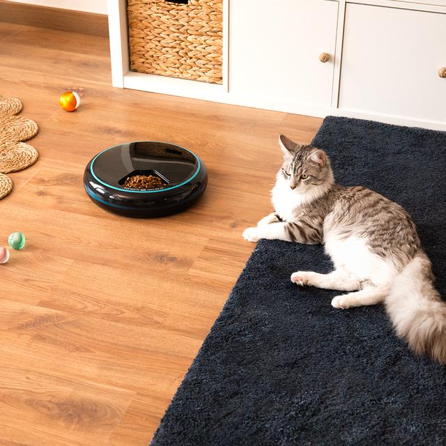Dispensador Cecotec Pumba 1600 Purrfect Meal junto a gato en casa