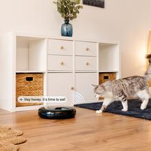 Pumba 1600 Purrfect Meal Distribuidor automático de ração para animais de estimação com 4 seções independentes, capacidade de 1,6L, display LED, temporizador e gravador de voz.