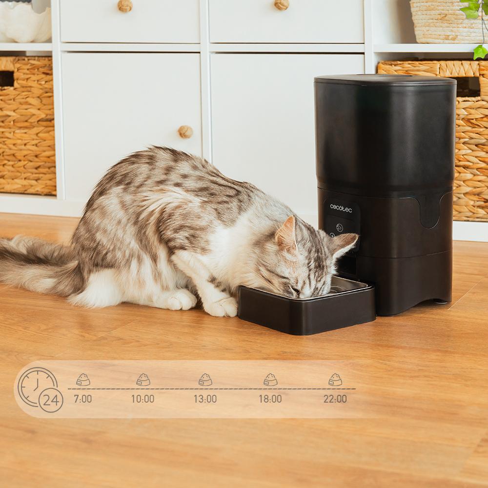 Gato comiendo en el dispensador Cecotec Pumba 6000 Purrfect Meal Smart