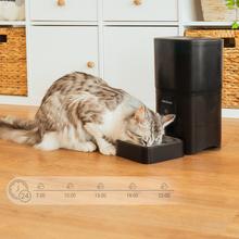 Pumba 6000 Purrfect Meal Smart Comedouro automático para animais de estimação com 6 litros de capacidade, controlo por Wi-Fi e controlo de porções.