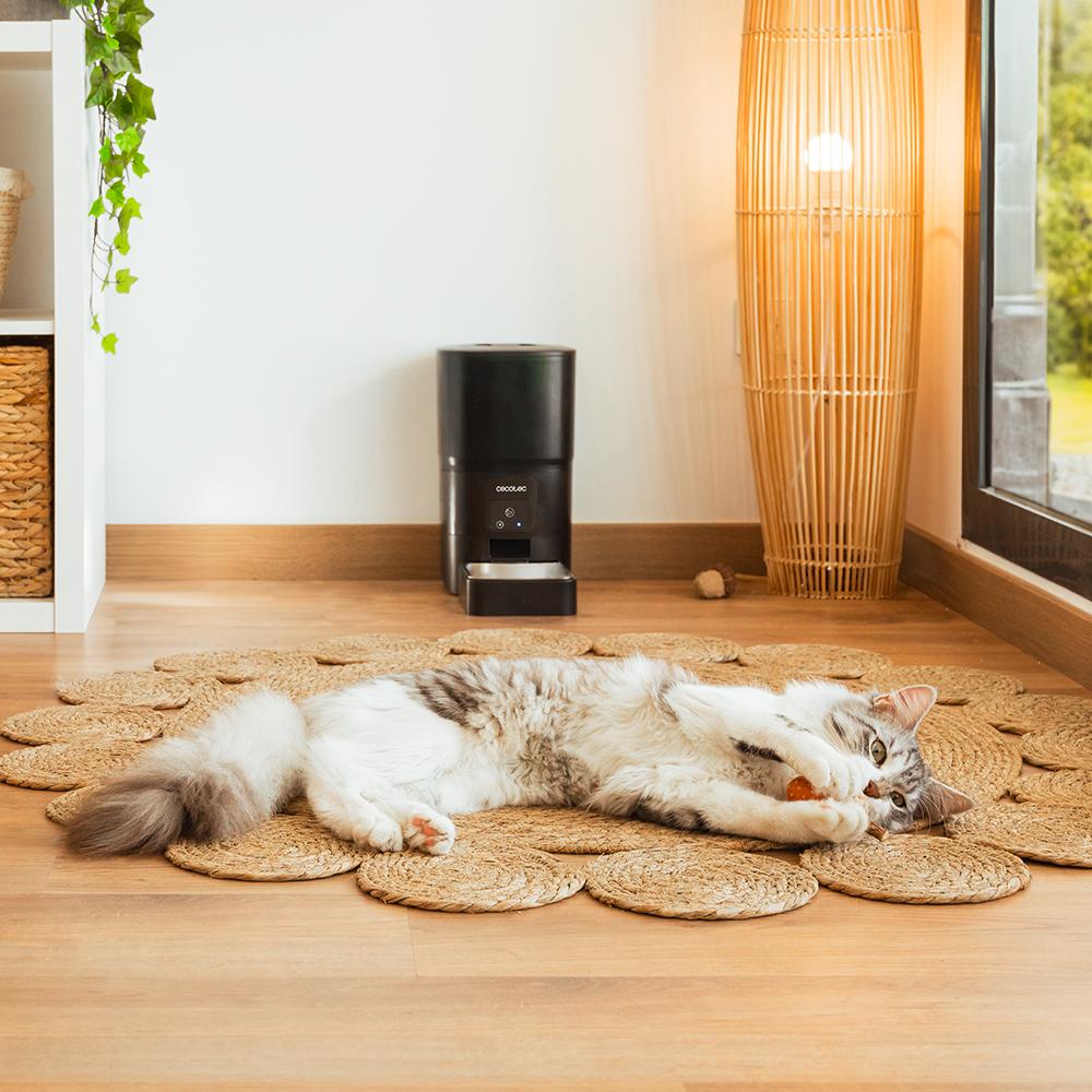 Cecotec Pumba 6000 Purrfect Meal Smart en casa junto a un gato