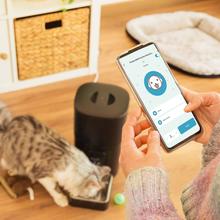 Pumba 6000 Purrfect Meal Smart Comedouro automático para animais de estimação com 6 litros de capacidade, controlo por Wi-Fi e controlo de porções.