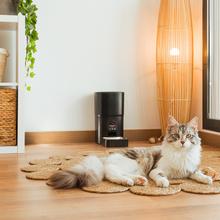 Pumba 6000 Purrfect Meal Smart Vision Automatischer Tierfütterung für Haustiere mit WiFi-Steuerung, Kamera, Sprachaufzeichnung, 6 Liter Fassungsvermögen und Portionskontrolle.