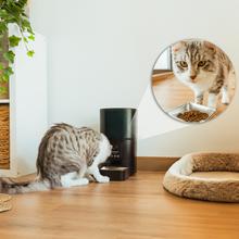 Pumba 6000 Purrfect Meal Smart Vision Automatischer Tierfütterung für Haustiere mit WiFi-Steuerung, Kamera, Sprachaufzeichnung, 6 Liter Fassungsvermögen und Portionskontrolle.