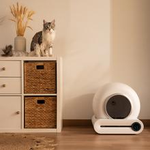 Pumba 8000 CleanKitty Smart Katzentoilette mit selbstreinigendem, dreifachem Desodorierungssystem, WLAN und Bildschirmsteuerung, leise und sicher mit Infrarotsensor.