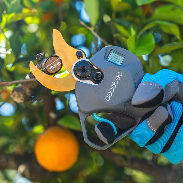 TitanCut 3000 Cesoie da potatura elettriche. Due batterie da 21 V. Motore Brushless, senza spazzole. Rami fino a 30 mm. Lame con rivestimento in titanio. Display di controllo digitale. Include una valigetta e diversi accessori.