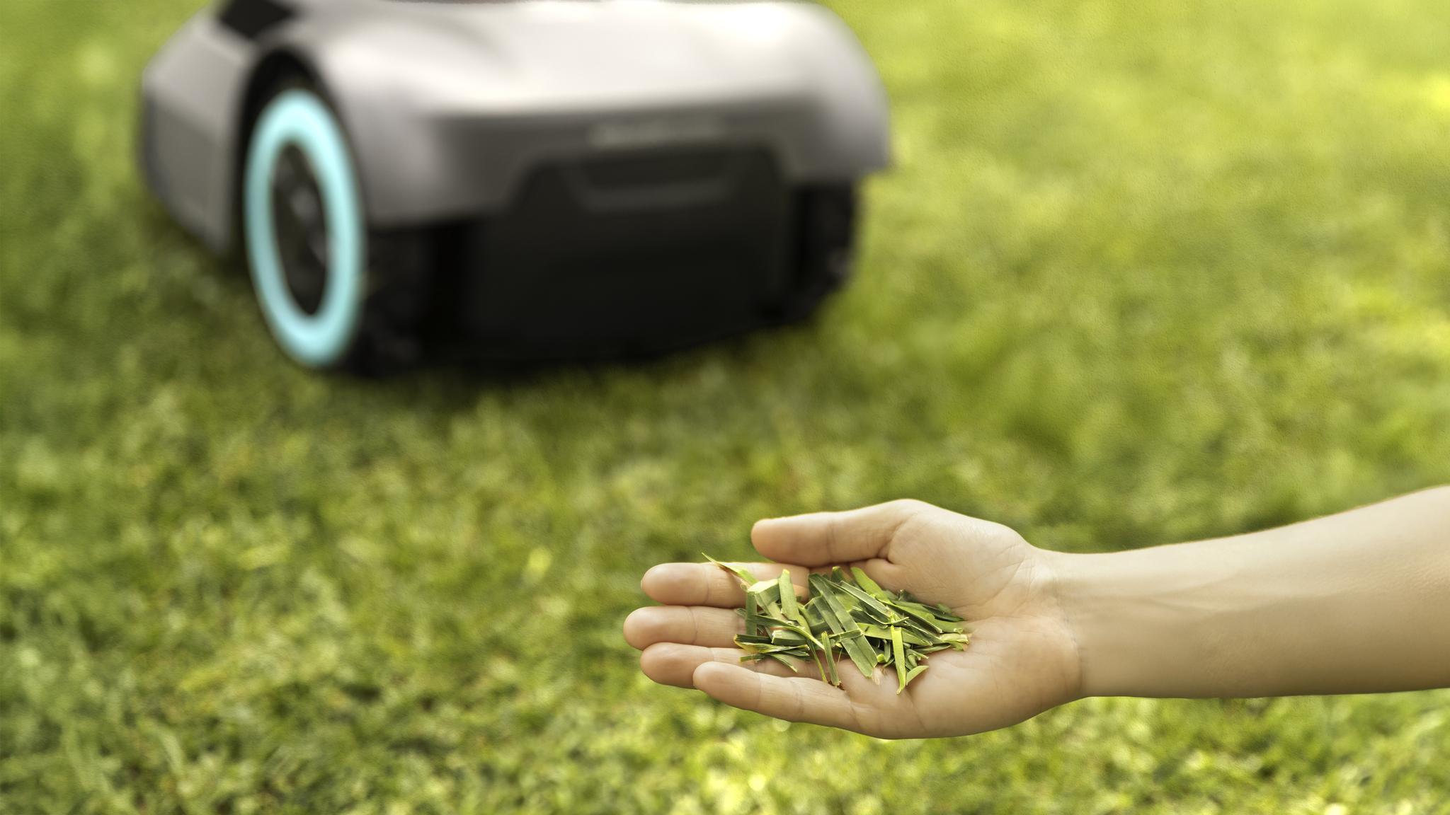 Mulching: taglia e nutre il prato