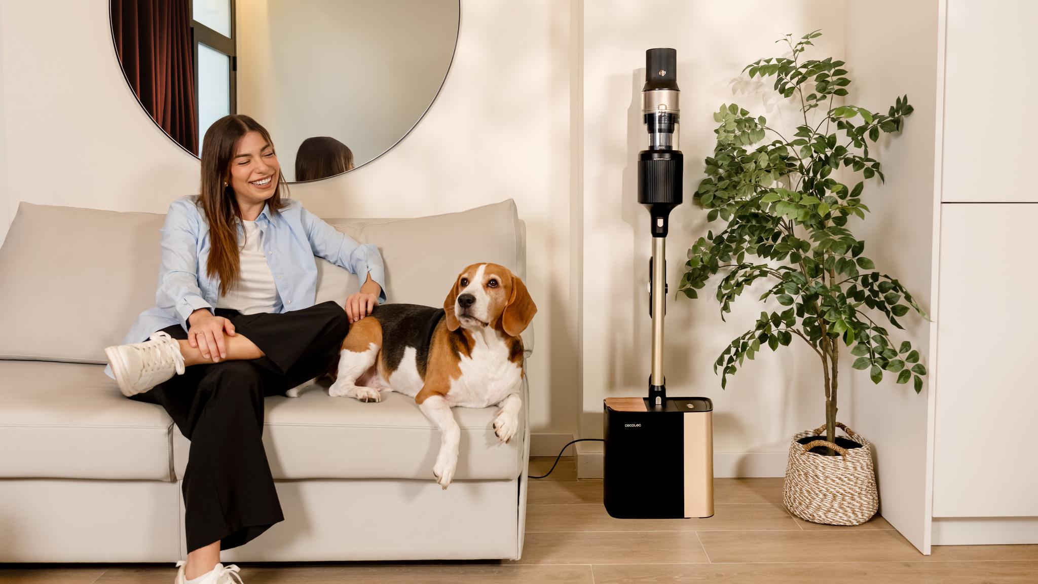 No tocarás el polvo durante semanas