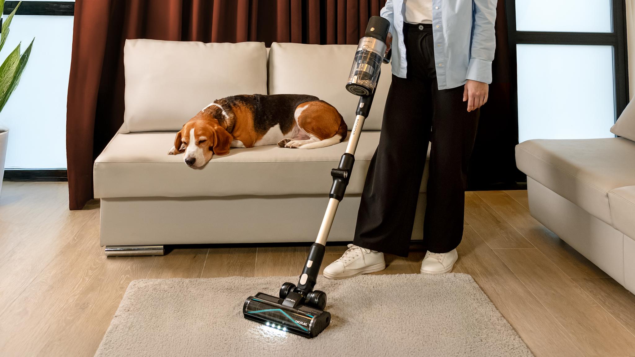 Alfombras altas ¡temblad!