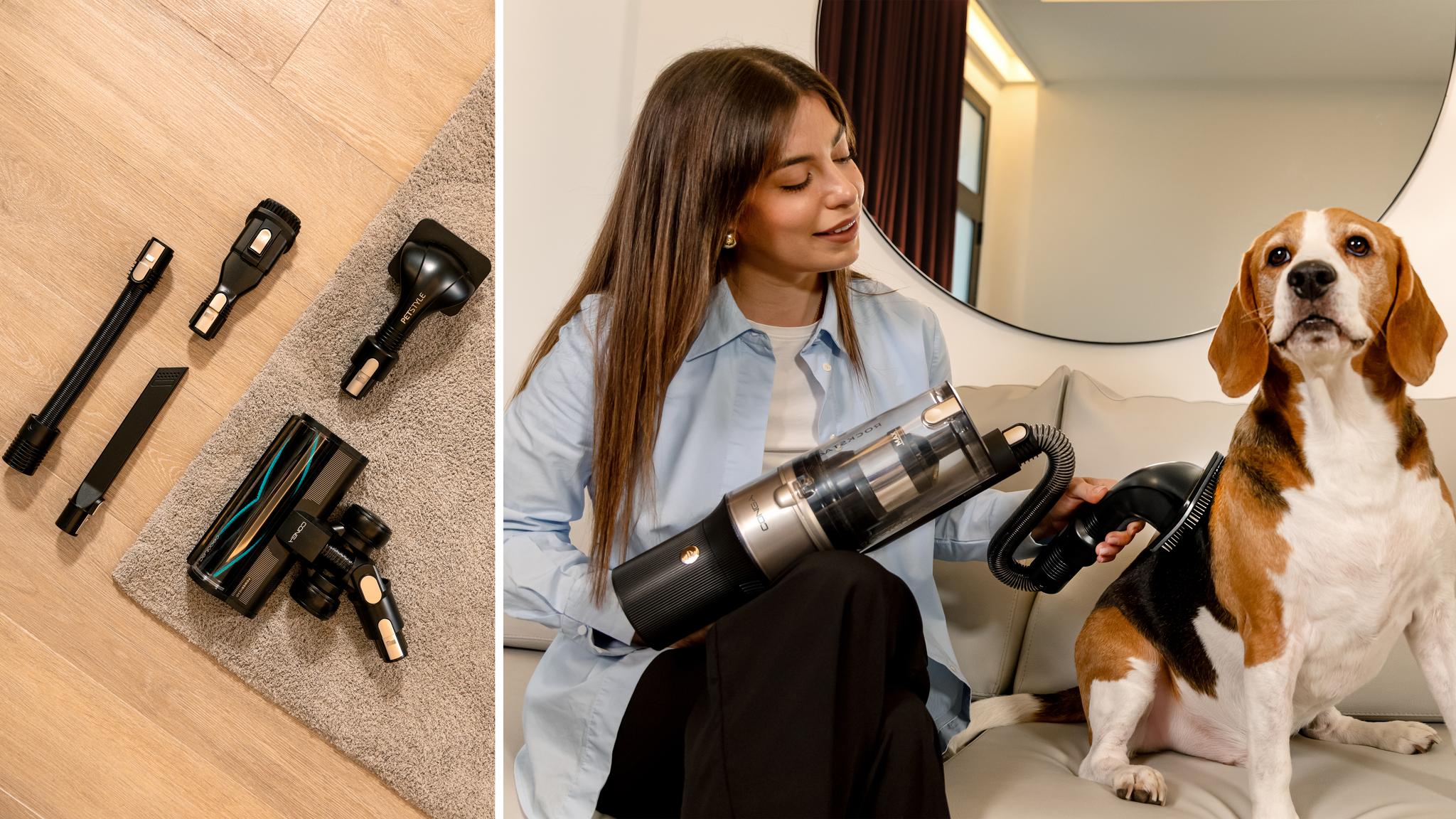 Casa con mascotas, estáis de suerte