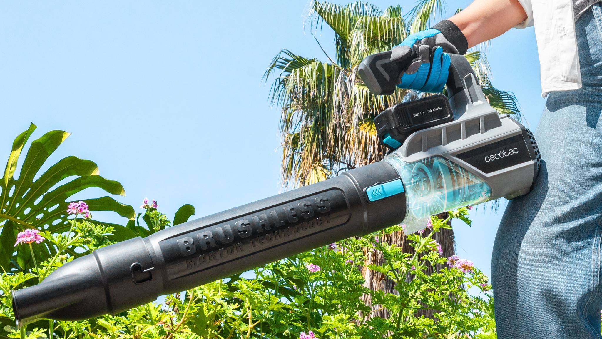 Xmotor: potencia sin parones
