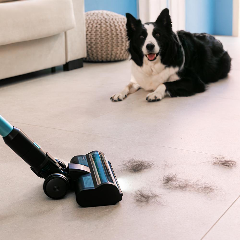 Cepillo HairLess antienredos del Cecotec Conga Rockstar 3500 Storm Pet Flex aspirando pelo de mascota