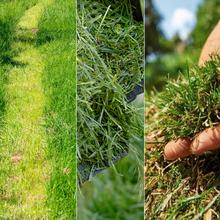 Terrenator E1 Liberty Cortacésped motor sin escobillas Brushless. Funciona con una batería 21V 4Ah. Altura de corte regulable. Ancho de 32cm. 3in1 con mulching.