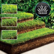 Terrenator E1 Liberty Cortacésped motor sin escobillas Brushless. Funciona con una batería 21V 4Ah. Altura de corte regulable. Ancho de 32cm. 3in1 con mulching.