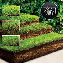 Terrenator E3 Liberty Z Plus Cortacésped motor sin escobillas Brushless. Funciona con 2 baterías 21V 4Ah. Cambio de altura sistema Z-Tech. Ancho de 38cm. 3in1 con mulching. Ruedas traseras XL.