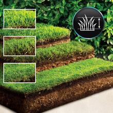 Terrenator E7 Liberty Z Plus Cortacésped motor sin escobillas Brushless. Funciona con 2 baterías 21V 4Ah. Cambio de altura sistema Z-Tech. Ancho de 43cm. 3in1 con mulching. Ruedas traseras XL.