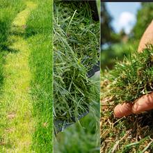Terrenator E7 Liberty Z Plus Cortacésped motor sin escobillas Brushless. Funciona con 2 baterías 21V 4Ah. Cambio de altura sistema Z-Tech. Ancho de 43cm. 3in1 con mulching. Ruedas traseras XL.