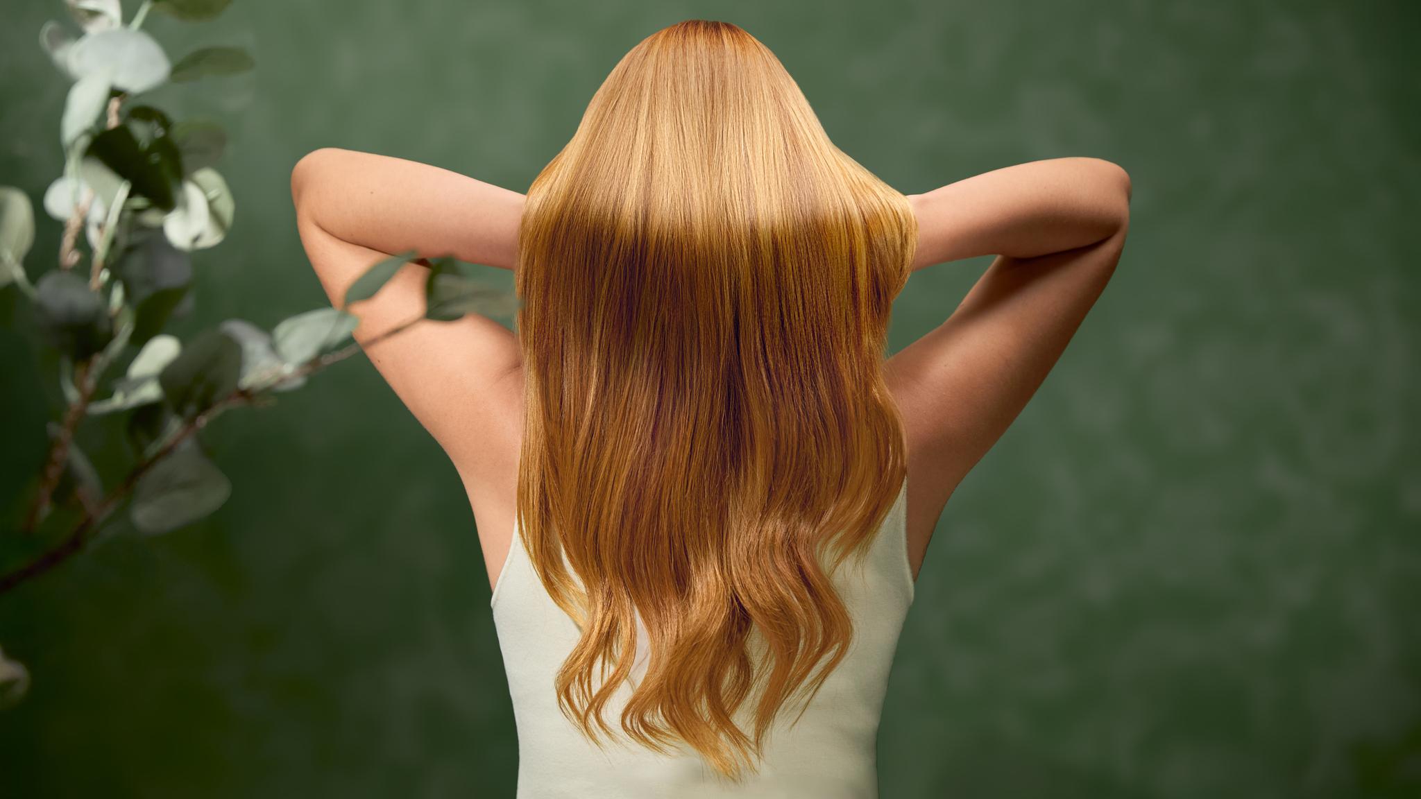 Con 7 aceites esenciales para un cabello más hidratado y nutrido