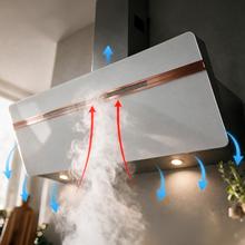 Bolero Flux DT 907500 Matt White A+++Cecotec Cappa aspirante decorativa da 90 cm in vetro bianco opaco e bianco lucido con dettagli color rame, canna fumaria in acciaio inox, con aspirazione da 717,2 m³/h, classe A+++, motore BLDC, touch control, Hand Movement Control, doppia funzione Booster, funzione Air Cleaning, Wifi per l'utilizzo di app, luce LED, filtri in alluminio, opzione filtro al carbonio inclusa.