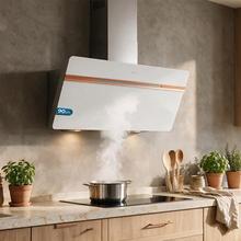 Bolero Flux DT 907500 Matt White A+++Cecotec Cappa aspirante decorativa da 90 cm in vetro bianco opaco e bianco lucido con dettagli color rame, canna fumaria in acciaio inox, con aspirazione da 717,2 m³/h, classe A+++, motore BLDC, touch control, Hand Movement Control, doppia funzione Booster, funzione Air Cleaning, Wifi per l'utilizzo di app, luce LED, filtri in alluminio, opzione filtro al carbonio inclusa.