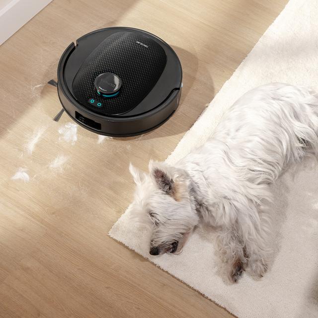 Conga Y80 Robot aspirador con IA Laser Eye y navegación láser inteligente. Aspira, barre, friega y pasa la mopa con 13000 Pa y cepillo antienredos. Autonomía hasta 220 m², base de vaciado automático 2,5 L y APP 3.0 para limpieza por zonas.